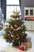 EAN 4011972755467 - Krinner SuperLight Fairy lights 12 bombilla(s) LED imagen 6