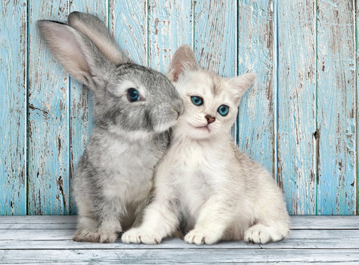 EAN 8005125350049 - Clementoni 35004 puzzle Puzzle rompecabezas 500 pieza(s) Animales imagen 2