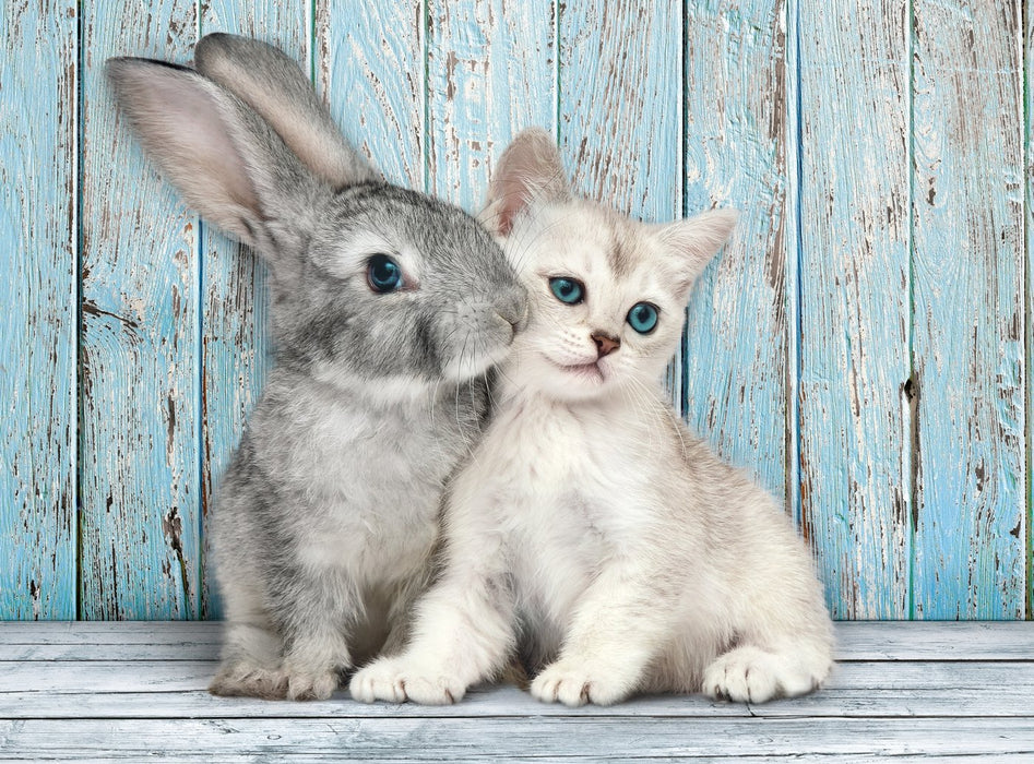EAN 8005125350049 - Clementoni 35004 puzzle Puzzle rompecabezas 500 pieza(s) Animales imagen 2