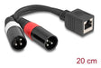 EAN 4043619881796 - DeLOCK 88179 cable de audio 0,2 m RJ-45 2 x XLR (3-pin) Negro imagen 1