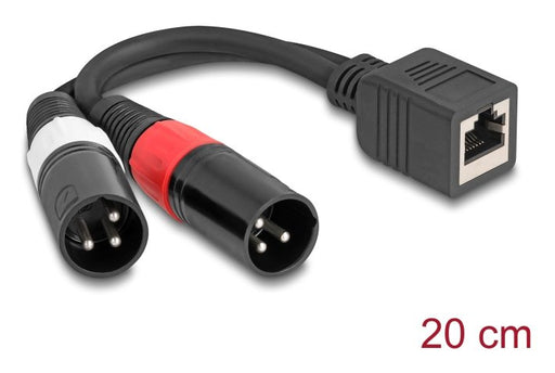 EAN 4043619881796 - DeLOCK 88179 cable de audio 0,2 m RJ-45 2 x XLR (3-pin) Negro imagen 1