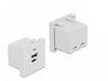 EAN 4043619813131 - DeLOCK 81313 toma de corriente USB A + USB C Blanco imagen 1