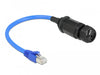 EAN 4043619668083 - DeLOCK 66808 cable de red Negro, Azul 0,25 m Cat6 SF/UTP (S-FTP) imagen 1