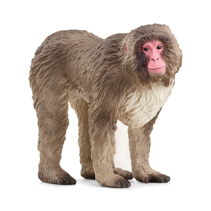EAN 4059433789453 - schleich Vida Salvaje 14871 figura de juguete para niños imagen 1