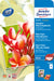 EAN 4004182410158 - Avery Premium Inkjet Fotopapier papel para impresora de inyección de tinta A4 (210x297 mm) De alto brillo imagen 1