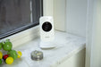 EAN 8711902091776 - Alecto DVM-71 video-monitor para bebés Gris pardo, Blanco imagen 12