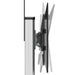 EAN 0065030863292 - StarTech.com STNDMTV70 soporte para pantalla de señalización 190,5 cm (75") Negro, Acero inoxidable imagen 7