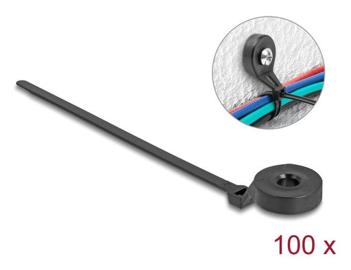 EAN 4043619189151 - DeLOCK 18915 presilla Brida atornillada Nylon Negro 100 pieza(s) imagen 1