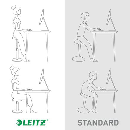 EAN 4002432129454 - Leitz Ergo Cosy Active Asiento acolchado imagen 6