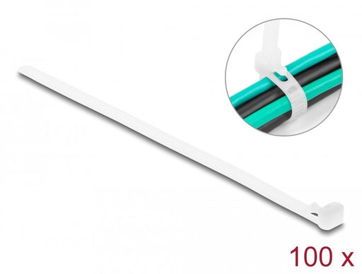 EAN 4043619186433 - DeLOCK 18643 presilla Bridas adherentes para cables Nylon 100 pieza(s) imagen 1