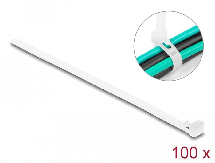EAN 4043619186433 - DeLOCK 18643 presilla Bridas adherentes para cables Nylon 100 pieza(s) imagen 1