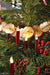 EAN 4011972755467 - Krinner SuperLight Fairy lights 12 bombilla(s) LED imagen 7