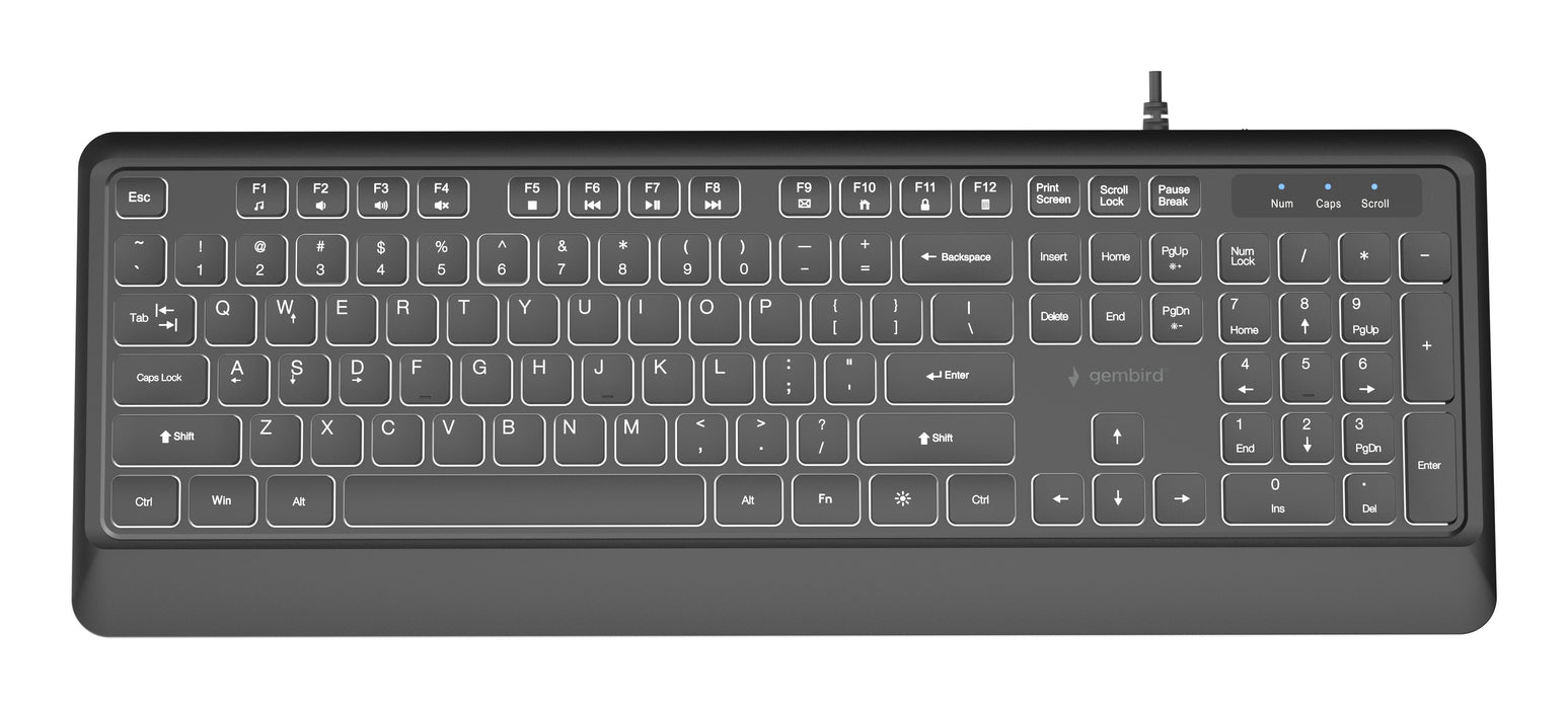 EAN 8716309136815 - Gembird KB-UML-04 teclado Universal USB QWERTY Internacional de EE.UU. Negro imagen 2