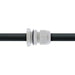 EAN 4043718178889 - InLine 44010 presilla Nylon Gris 10 pieza(s) imagen 6