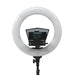 EAN 0847983032358 - ikan HomeStream imagen 14