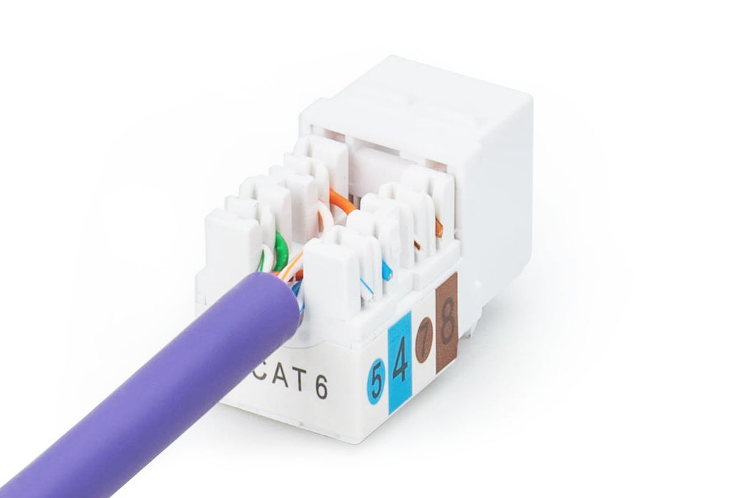 EAN 4016032245100 - Digitus DN-93601 módulo de conector de red imagen 7