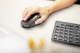 EAN 4025112091933 - CHERRY DW 9500 SLIM teclado Ratón incluido Universal RF Wireless + Bluetooth AZERTY Francés Negro, Gris imagen 5