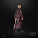EAN 5010996226105 - Star Wars The Black Series Padmé Amidala imagen 15