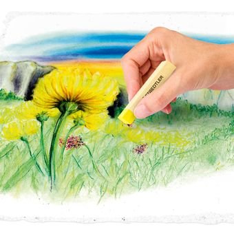 EAN 4006608201852 - Staedtler 2430 Pintura al pastel Suave Multicolor 24 pieza(s) imagen 4