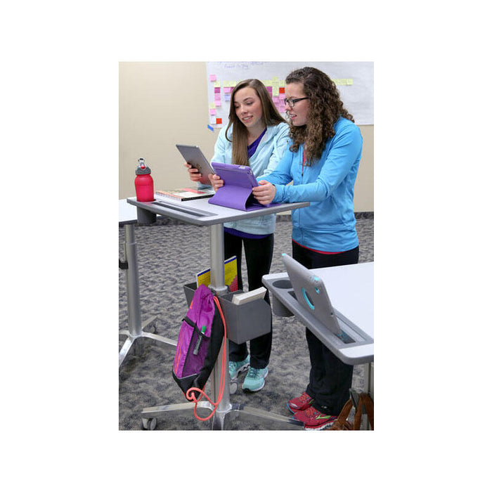 Ergotron Learnfit