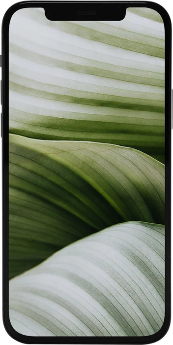 EAN 4260508391000 - #GOECO iPhone 12 mini 13,7 cm (5.4") SIM doble iOS 14 5G 128 GB Negro Renovado imagen 1