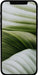 EAN 4260508391000 - #GOECO iPhone 12 mini 13,7 cm (5.4") SIM doble iOS 14 5G 128 GB Negro Renovado imagen 1