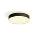 EAN 8718696176443 - Philips Hue White ambiance 4115930P6 Luz de techo inteligente Bluetooth/Zigbee 19,2 W imagen 1