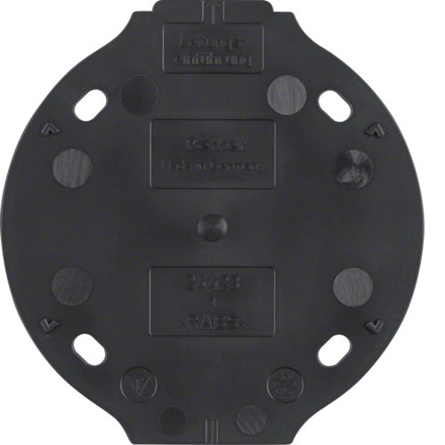 EAN 4011334291817 - Hager 133111 interruptor de luz Duroplast Negro imagen 1