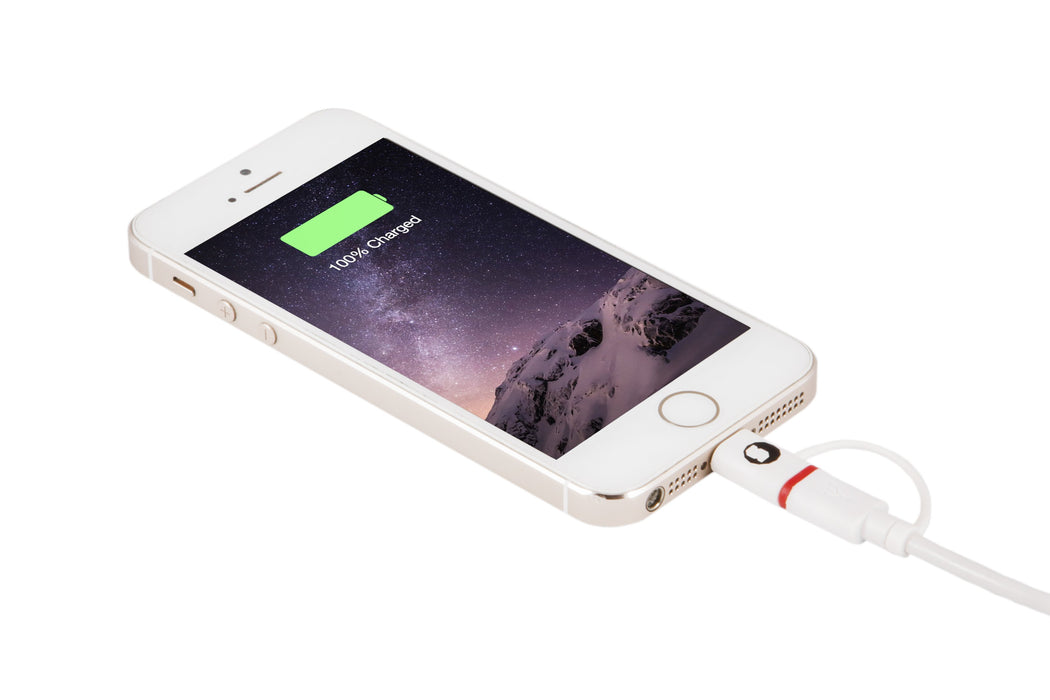 EAN 8420738936402 - SilverHT 93640 cable USB USB A imagen 5