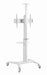 EAN 8716309128995 - Gembird Aluminum TV floor stand with caster wheels, 37\" - 70\", baltas | imagen 5