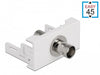 EAN 4043619813360 - DeLOCK 81336 conector coaxial 1 pieza(s) imagen 1