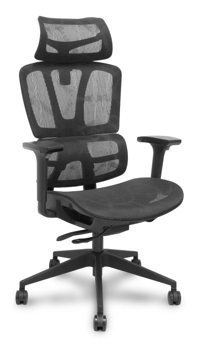 EAN 8435501019626 - PIQUERAS Y CRESPO Pro537 Asiento acolchado Respaldo de malla imagen 8