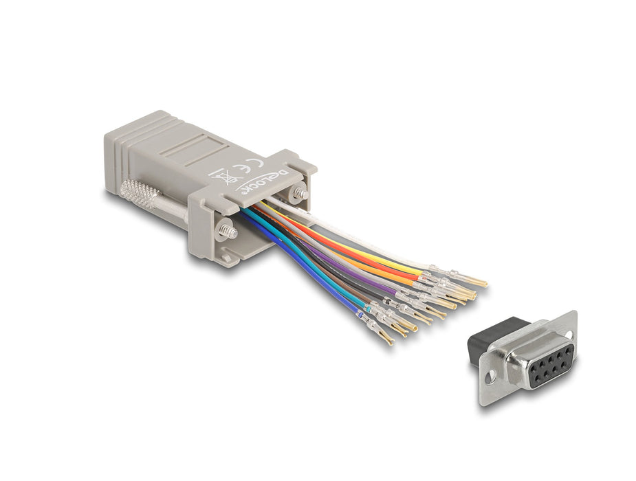 EAN 4043619664726 - DeLOCK 66472 cambiador de género para cable D-Sub 9 pin RJ-50 imagen 1