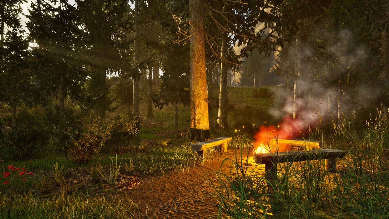 EAN 4015918166201 - Aerosoft Park Ranger Simulator imagen 10