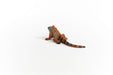 EAN 4059433454764 - schleich Vida Salvaje 14854 figura de juguete para niños imagen 4