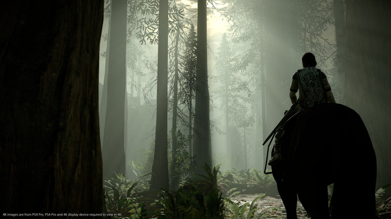 EAN 711719352679 - Sony Interactive Entertainment Shadow of the Colossus PlayStation 4 imagen 6