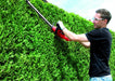 EAN 4006825608236 - Einhell GC-EH 4550 Cuchilla doble 450 W 2,5 kg imagen 3