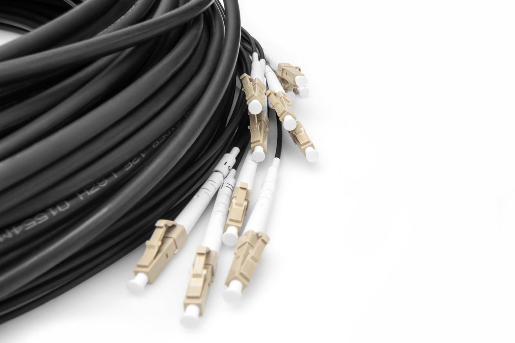 EAN 4016032484295 - Digitus DK-2433CU075BK-BBB Cable de fibra óptica e InfiniBand 75 m U-DQ(ZN) BH Negro imagen 2