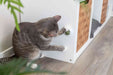 EAN 4011905422428 - TRIXIE 42242 juguete para perro y gato imagen 8