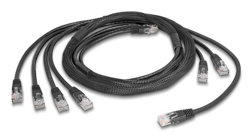 EAN 4043619901210 - DeLOCK 90121 cable de red Negro 5 m Cat5e U/UTP (UTP) imagen 1