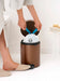 EAN 8710755255229 - Brabantia NewIcon 5 L Alrededor Acero Marrón imagen 3