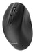 EAN 8716309136945 - Gembird MUSW2-6B-02 ratón Hogar mano derecha RF Wireless + Bluetooth Óptico 2400 DPI imagen 8