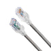 EAN 8719605044211 - Belden CA24108002M cable de red Gris 2 m Cat6a U/UTP (UTP) imagen 1