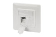 EAN 4016032362418 - Digitus DN-93831 placa de pared y cubierta de interruptor Blanco imagen 3