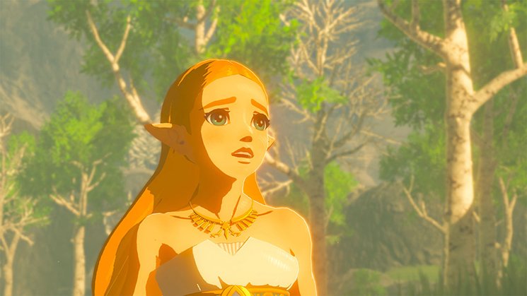 EAN 45496420055 - Nintendo The Legend of Zelda: Breath of the Wild, Switch Estándar Nintendo Switch imagen 3