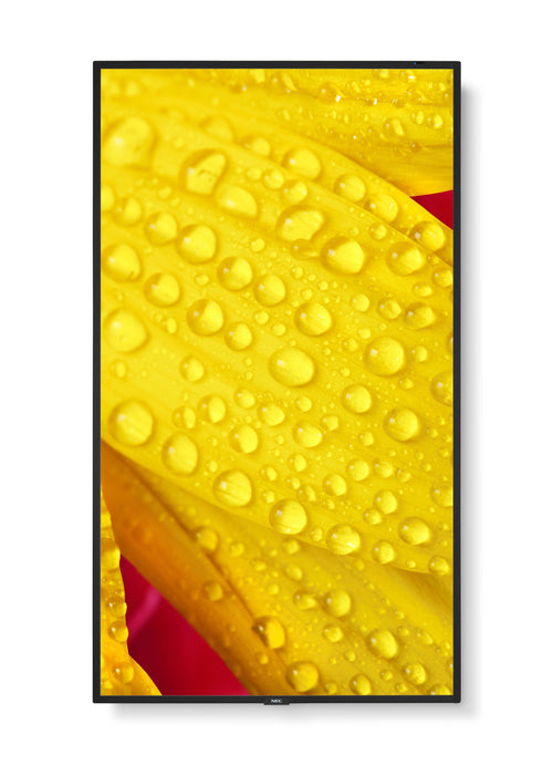 EAN 5028695127487 - NEC MultiSync M551-2 Diseño de quiosco 127 cm (50") LED 4K Ultra HD Negro Procesador incorporado imagen 8