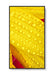 EAN 5028695127487 - NEC MultiSync M551-2 Diseño de quiosco 127 cm (50") LED 4K Ultra HD Negro Procesador incorporado imagen 8