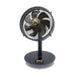 EAN 7640115593160 - Stylies Cepheus Antracita, Bronce imagen 1
