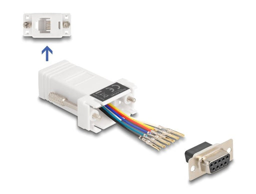 EAN 4043619670789 - DeLOCK 67078 cambiador de género para cable D-Sub 9 RJ12 Blanco imagen 1