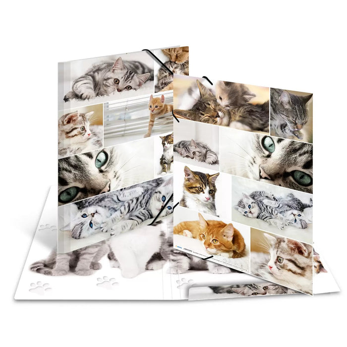 EAN 4008705192194 - HERMA 19219 carpeta Cartón Multicolor A3 imagen 1